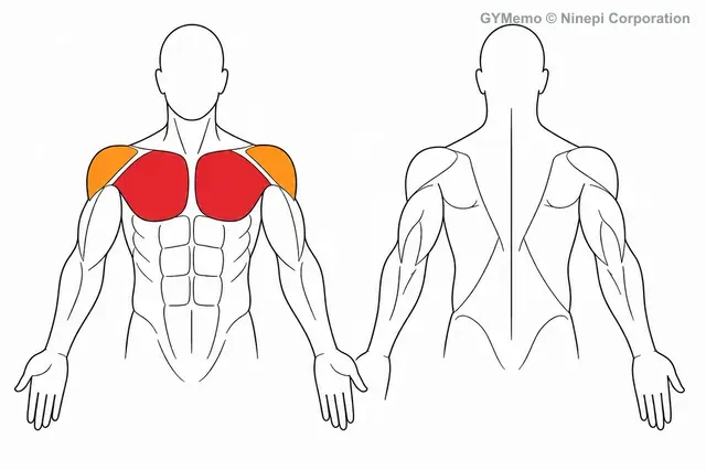 ダンベルフライで主に鍛える筋肉の図