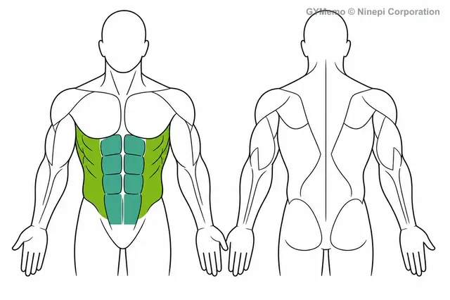 パロフプレスで主に鍛える筋肉の図